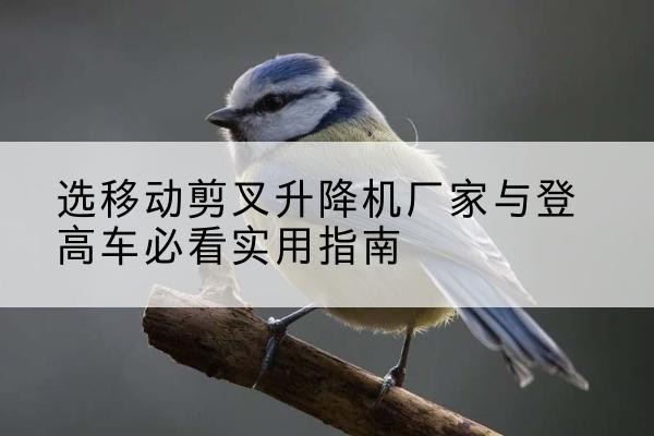 十堰电动升降机厂家-选移动剪叉升降机厂家与登高车必看实用指南