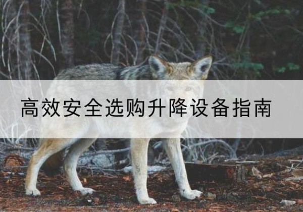 十堰升降货梯厂家推荐-*安全选购升降设备指南